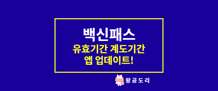  백신패스 유효기간 계도기간 적용 전 앱 업데이트