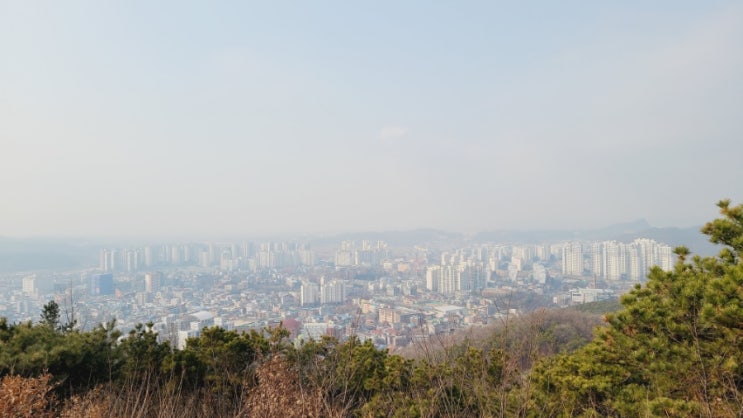  안성 비봉산. 한주오거리에서 팔각정 왕복