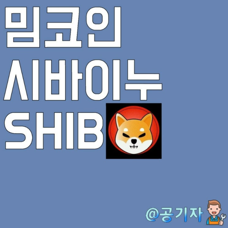 21년 BTC시장을 뜨겁게 달군 밈코인 시바이누 SHIB 토큰! 차트 및 가격전망(feat.파워렛저 폭등)