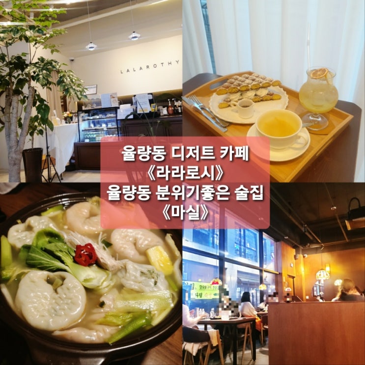  청주 율량동 노란문 카페 《라라로시》 율량동 분위기 좋은 술집추천 《마실》 c