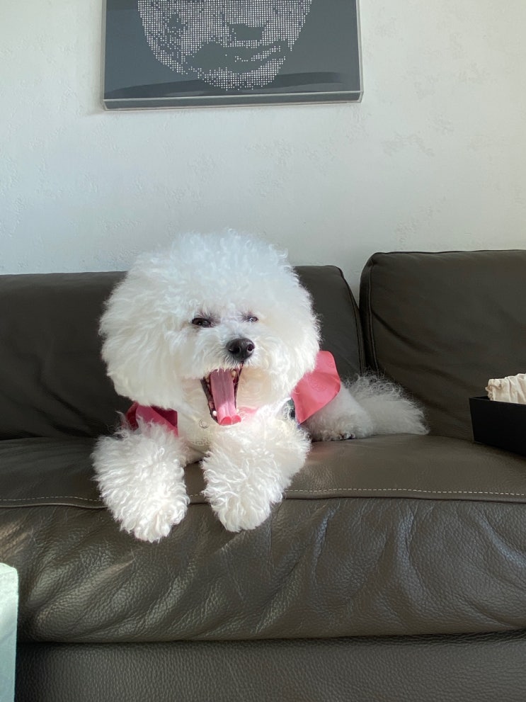  22년 호랑이해에도 복 많이 받으시고 건강하세요!
