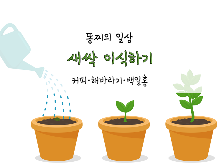  새싹 이식하기, 발아가 안된다ㅠㅠ_220103