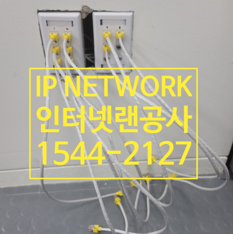  사무실 사람들이 필요한 인터넷랜공사