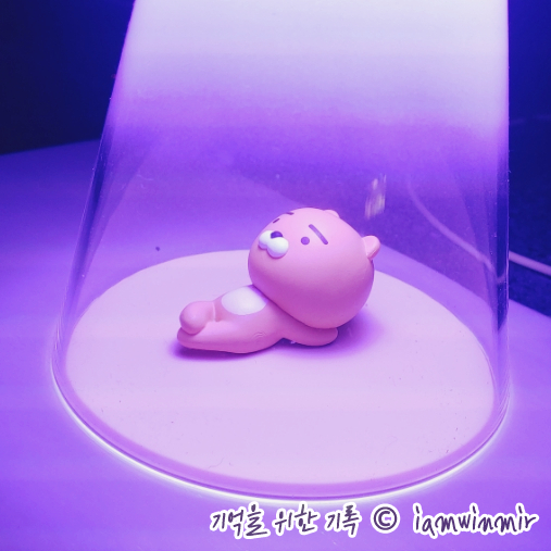 2021.12.21 ~ 31 기록 및 월말 정리 2021.12.21 ~ 31 기록 및 월말 정리