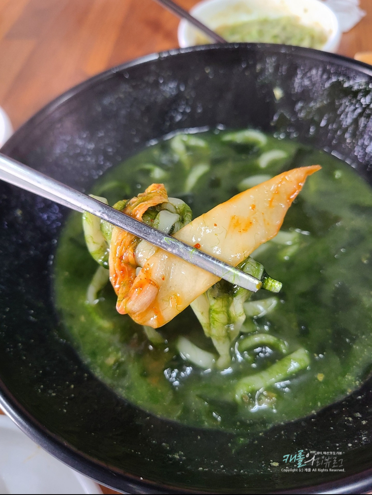 서귀포칼국수 진한맛이 일품인 제주 중문보말칼국수,전복죽 서귀포칼국수 진한맛이 일품인 제주 중문보말칼국수,전복죽