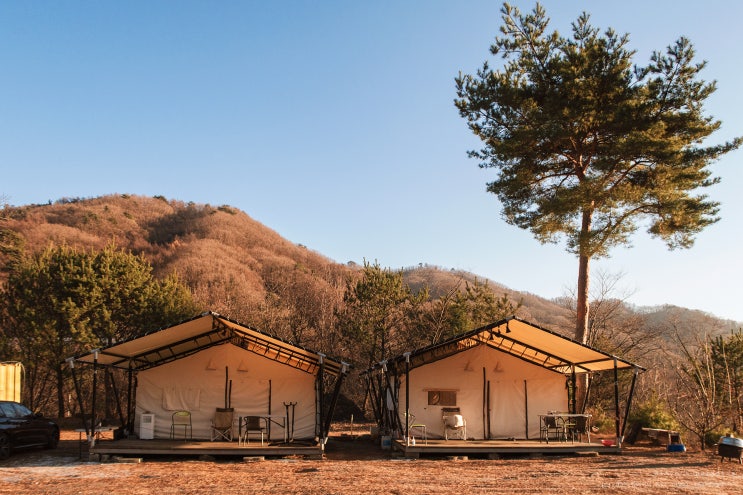  애견동반글램핑 첫 여행, 독채로 프리이빗한 곳