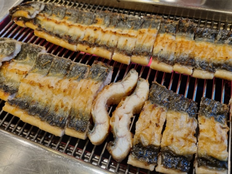  [용인] 풍천민물장어 직판장 풍덕천동 장어 소금구이