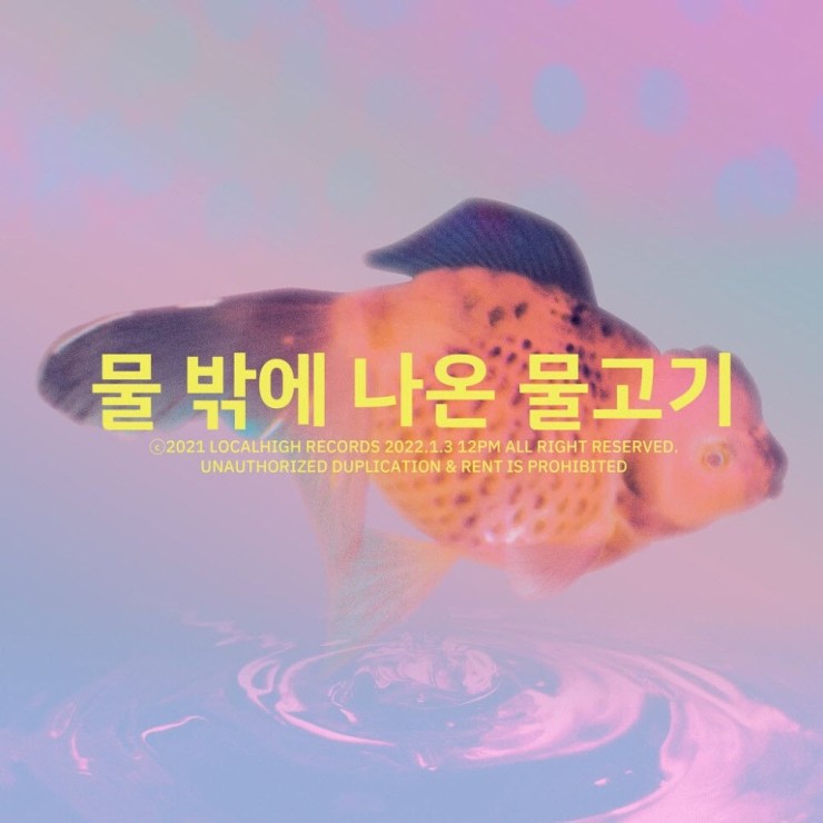 운찬 - 물 밖에 나온 물고기 [노래가사, 듣기, LV]