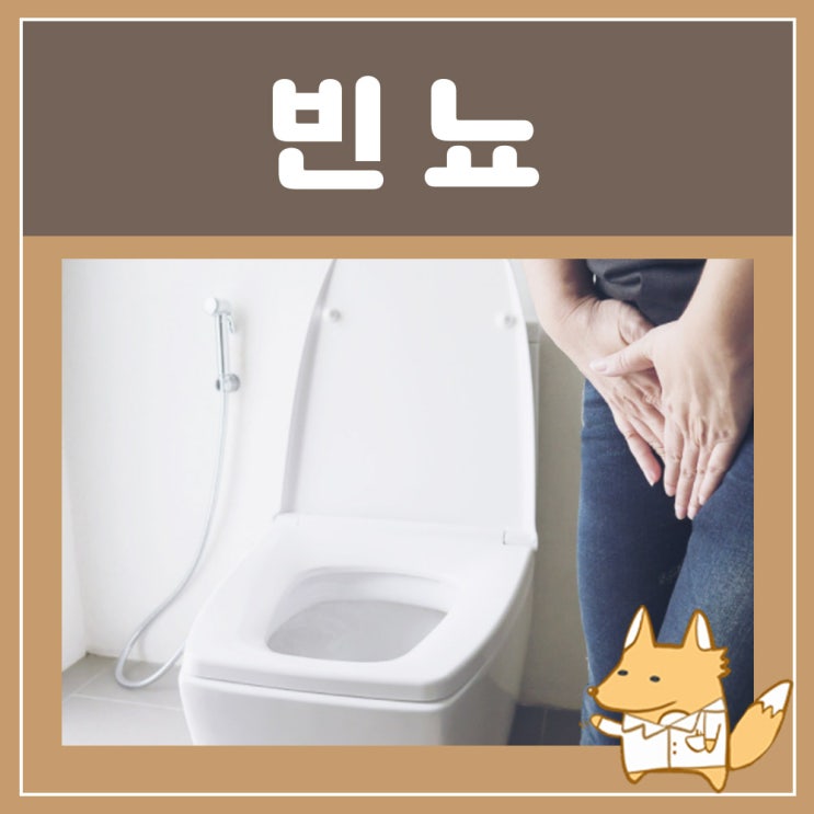  빈뇨 원인 증상 : 자다가 소변 자주 마려움 야간빈뇨, 하루 소변 횟수, 여성 잔뇨감