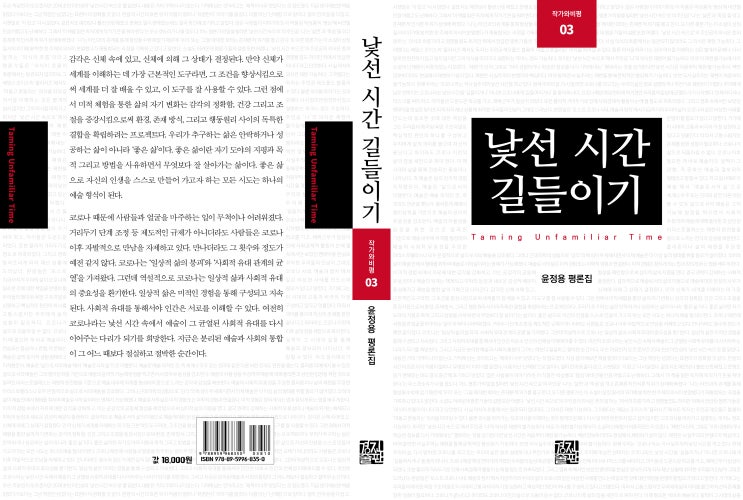 낯선 시간 길들이기(윤정용 평론집, 작가와비평03)