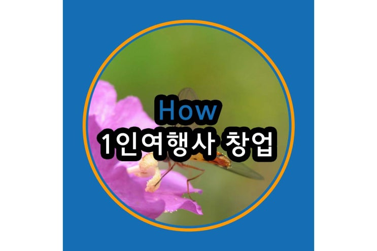  1인 여행사 창업 어떻게(HOW) 시작하는가