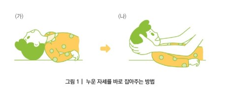  뇌성마비/정상발달 설명해주는 남자 - 뇌병변(뇌성마비) 아이들 자세 조절 및 유지와 다루기, 일상생활 관리.