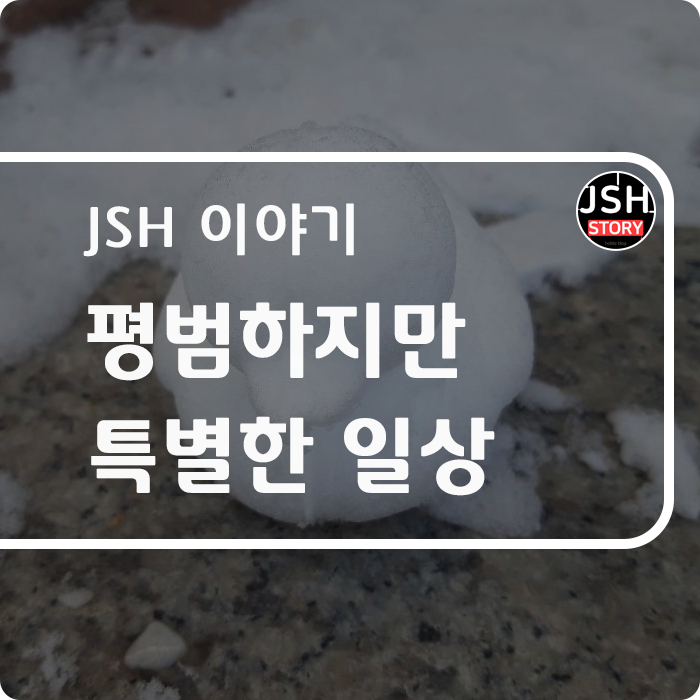 2021년 12월 평범하지만 특별한 일상 2021년 12월 평범하지만 특별한 일상
