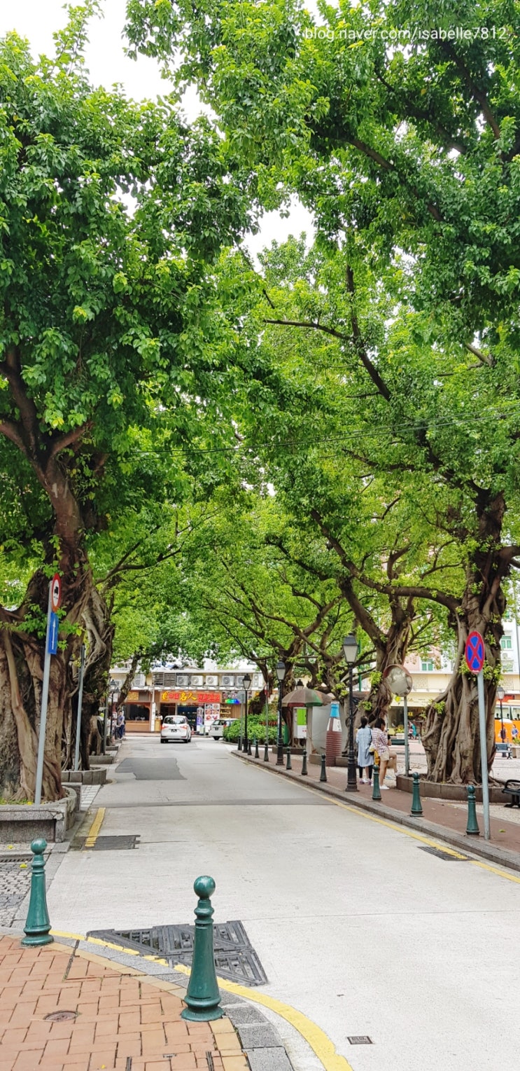  마카오자유여행,볼거리 가득한 타이파빌리지 트렌디한 골목투어