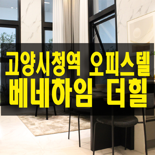  고양 시청역 베네하임 더힐 와이드 복층 역세권 오피스텔 일정