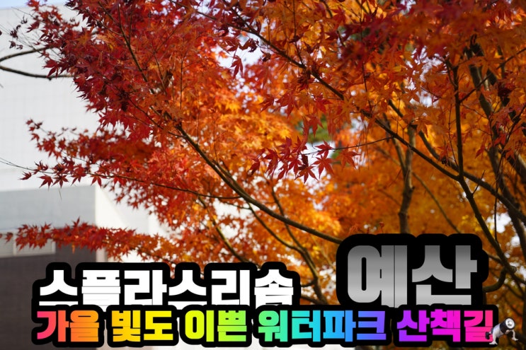  예산여행 스플라스 리솜 공원 산책