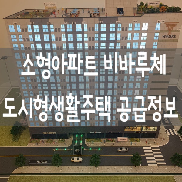 천안 성정동 비바루체 소형아파트 도시형생활주택 공급정보