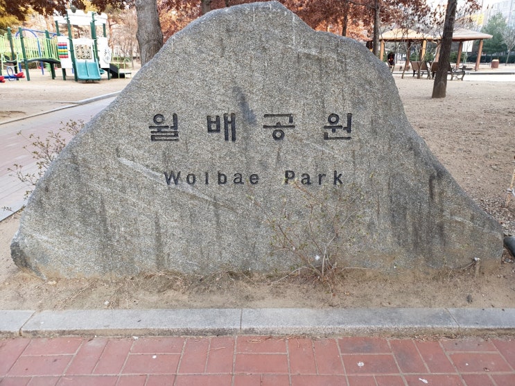  월배공원 아이들과 소소하게 산책하기 좋은 곳