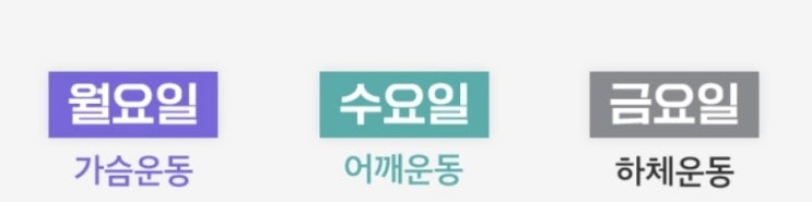 1주일 루틴