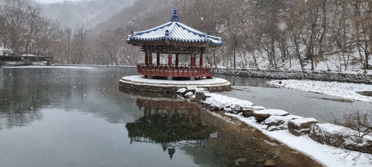 올해의 마지막 산행!! 내장산 올해의 마지막 산행!! 내장산