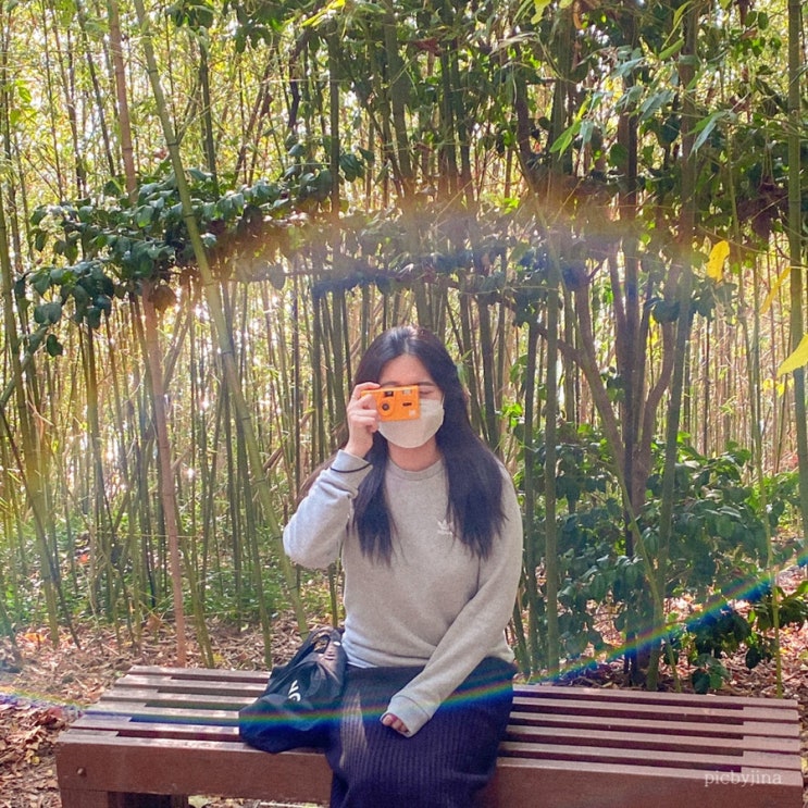 여수 여행) 여수 가볼만한곳 : 오동도 여수 여행) 여수 가볼만한곳 : 오동도