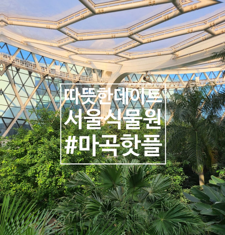  [마곡핫플] 겨울엔 따듯한 온실 서울식물원(+주차팁)