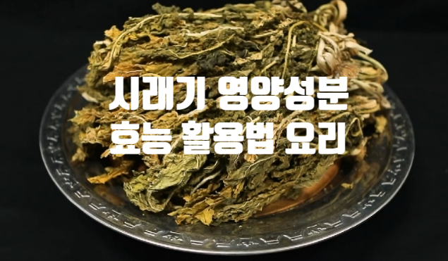  무청 시래기 영양성분 효능 활용법 요리(ft. 차 단호박 밥)