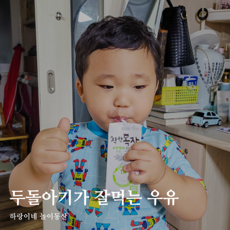  무항생제 착한목장 건국우유로 가자미 크림소스 만들기