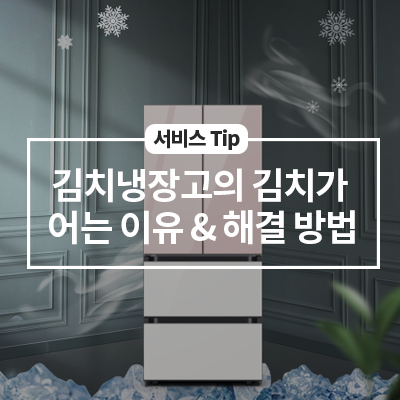  김치냉장고의 김치가 어는 이유와 해결 방법
