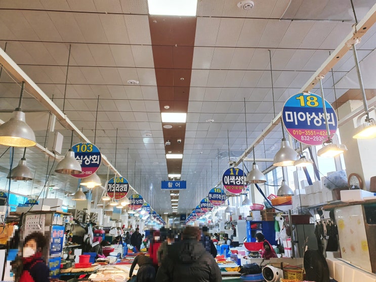  [경남 사천 삼천포항_회센터 추천] 삼천포용궁수산시장 111번 미정상회 방문 (싱싱한 광어&방어 후기)