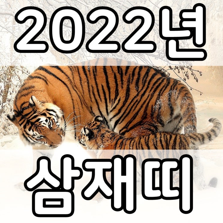  [띠별 운세] 2022년 임인년 삼재띠 :: 들삼재, 눌삼재, 날삼재
