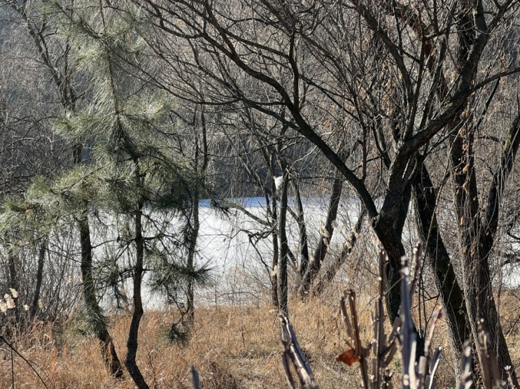  고양이 구조 신고 후기