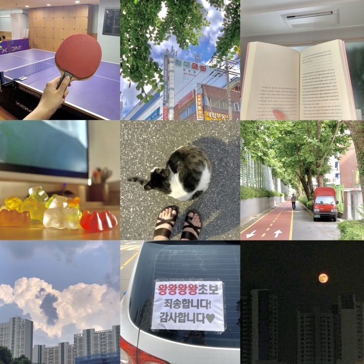  2021년 6월 일상