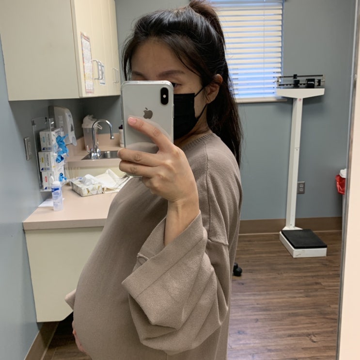  임신29~30주:일곱번째 체크업