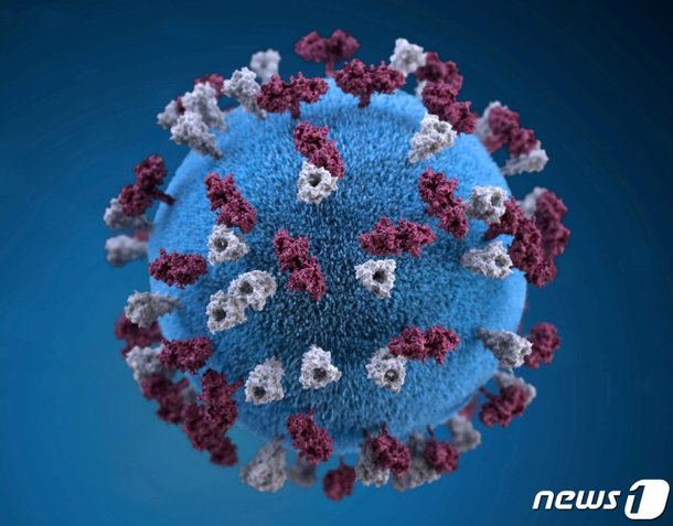새 코로나 바이러스 IHU 발견 12명 확진 돌연변이 46개  돌연변이 백신 회피성 N501Y 돌연변이 전파력 백신N차접종