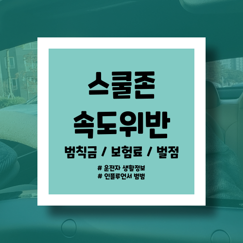  어린이보호구역 속도위반 :: 과태료, 보험료 할증에 면허 정지까지?