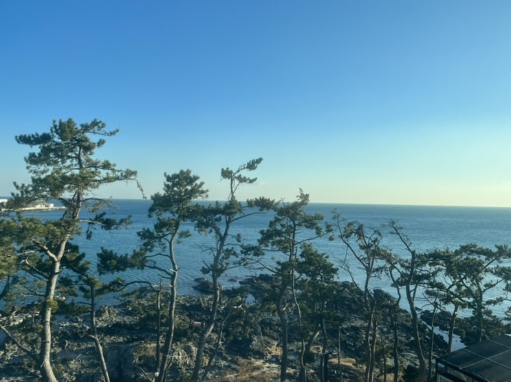 [포항] 가족 펜션으로 너무좋았던 오션뷰 파인웨이브 펜션