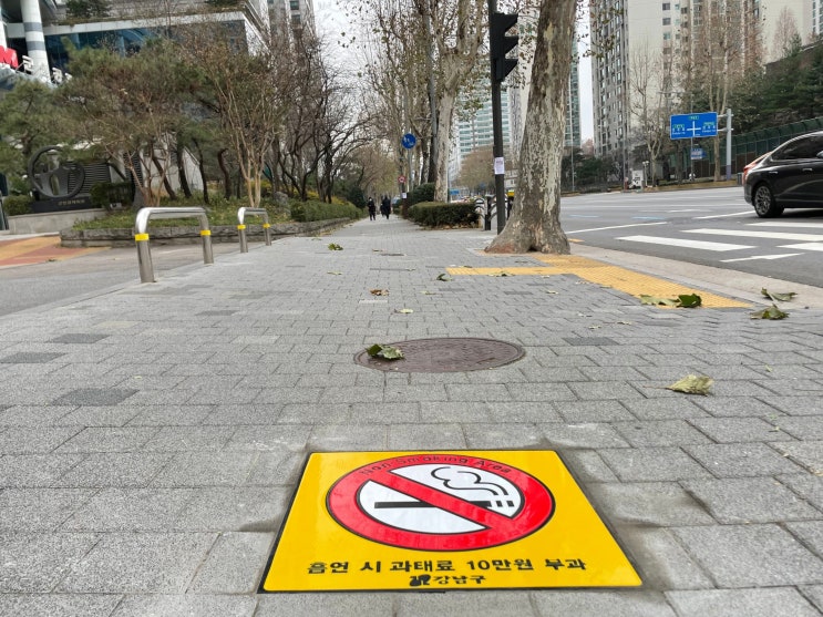  [로디스트]바닥용 주철 안내판 서울시 강남구① 도곡역 타워팰리스 일대