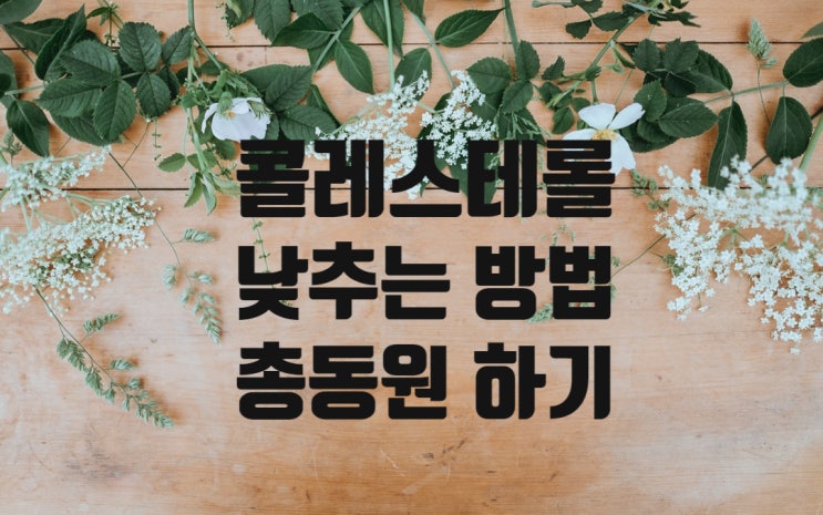  콜레스테롤 수치 낮추는 방법 총동원 관리하기(feat. 건강검진 결과)