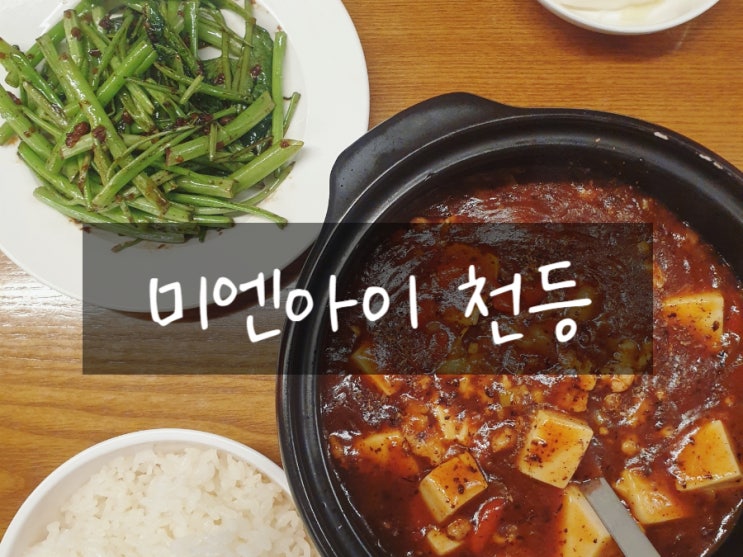  강남역맛집 미엔아이천등 마파두부 공심채볶음 강남혼밥 만족