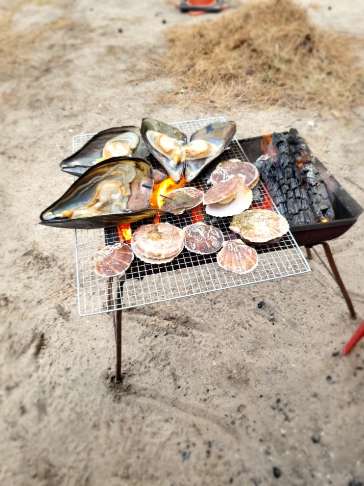  [부안]고사포해수욕장/변산/격포채석강/대명리조트/해넘이/일몰맛집/하섬/바다갈라지는곳/물때/조개구이