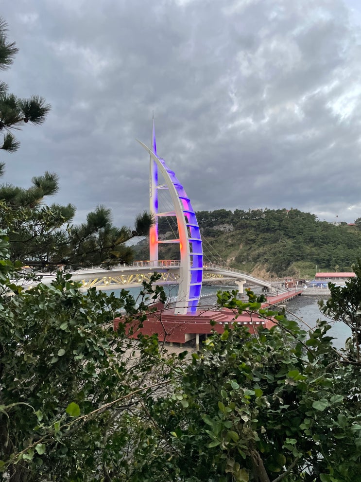 서귀포 가볼만한 곳 새섬 산책일기 서귀포 가볼만한 곳 새섬 산책일기