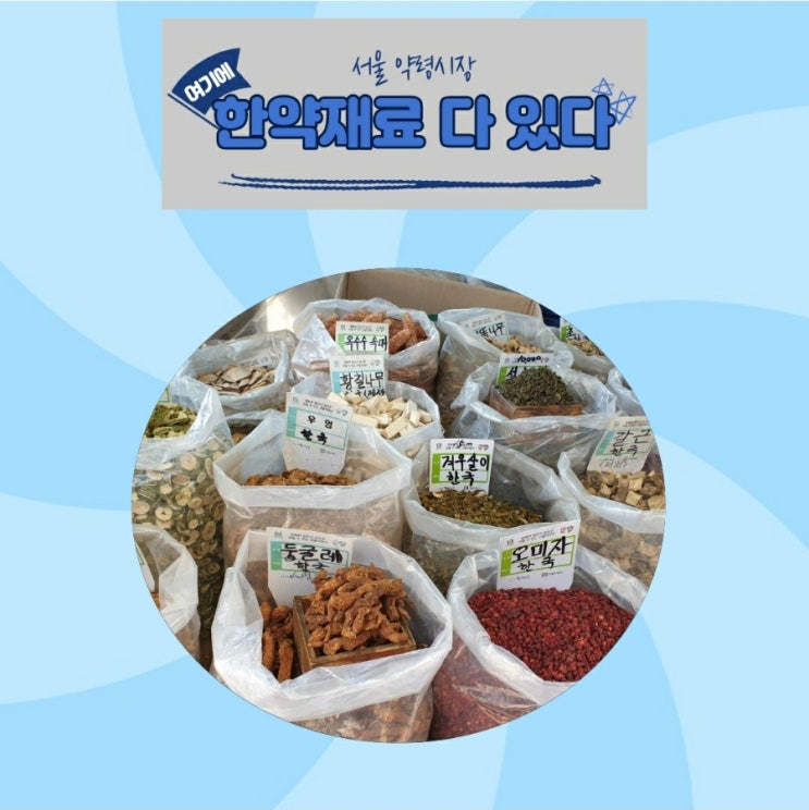  한약재시장 다녀왔어요 서울 약령시장엔 없는 약재가 없어요/왕초약재