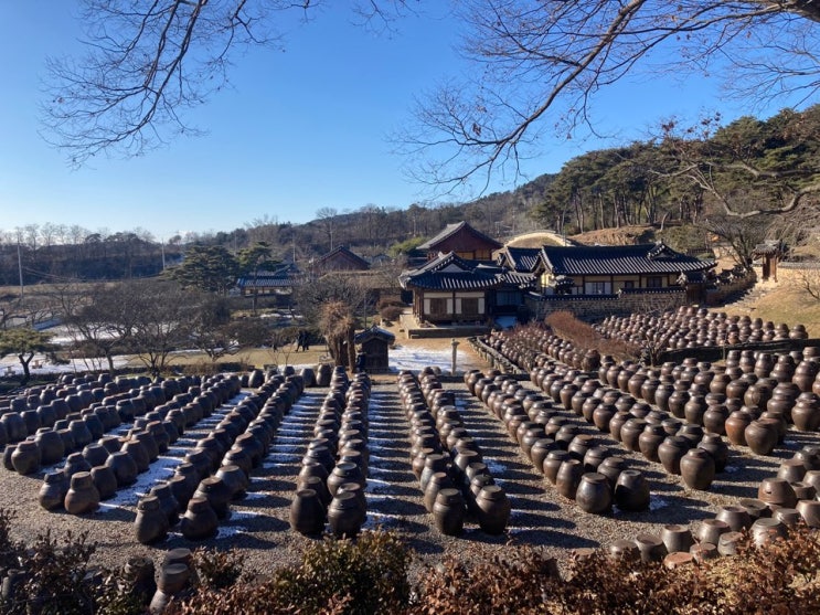  충남 논산 가볼만한곳  고즈넉한 겨울의 명재고택, 노성산 (feat. 명재고택 숙소예약)