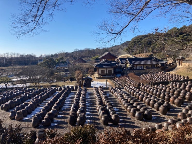 충남 논산 가볼만한곳  고즈넉한 겨울의 명재고택, 노성산 (feat. 명재고택 숙소예약)