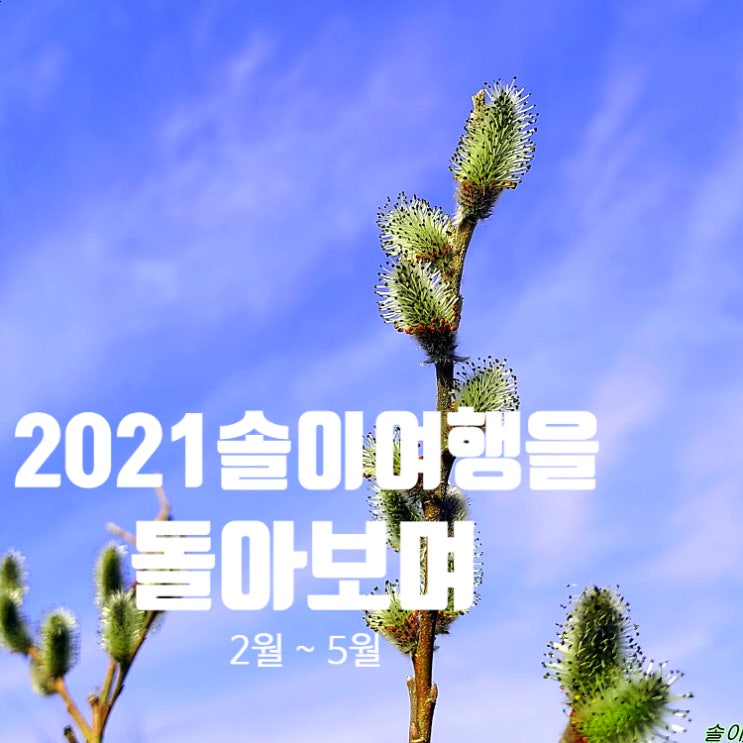  〔솔이여행〕2021년 솔이여행을 돌아 보며- 1편(2월~6월)