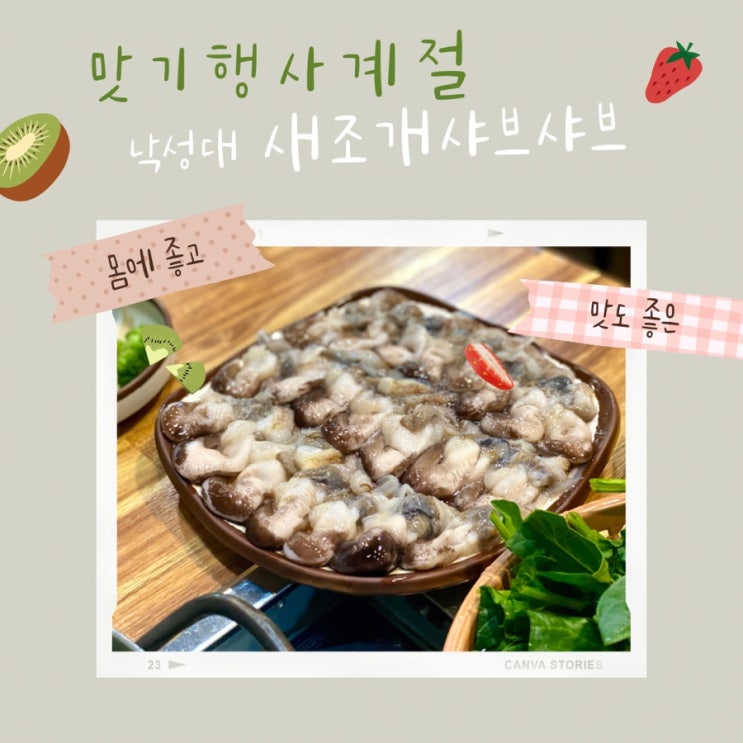 맛기행사계절 서울에서 먹는 새조개샤브샤브(11월~5월) 내돈내산 후기