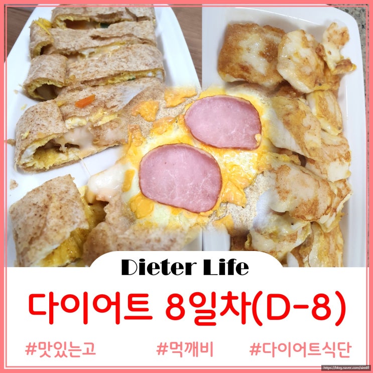  다이어트 8일차(Day-8)