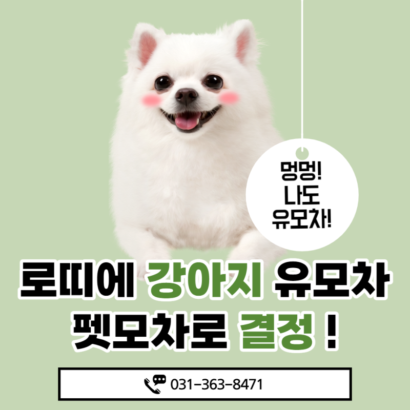 로띠에 강아지 유모차 펫모차로 결정!