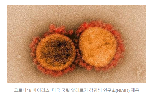  또 새로운 코로나 변이바이러스: 프랑스발 IHU 변이' 바이러스
